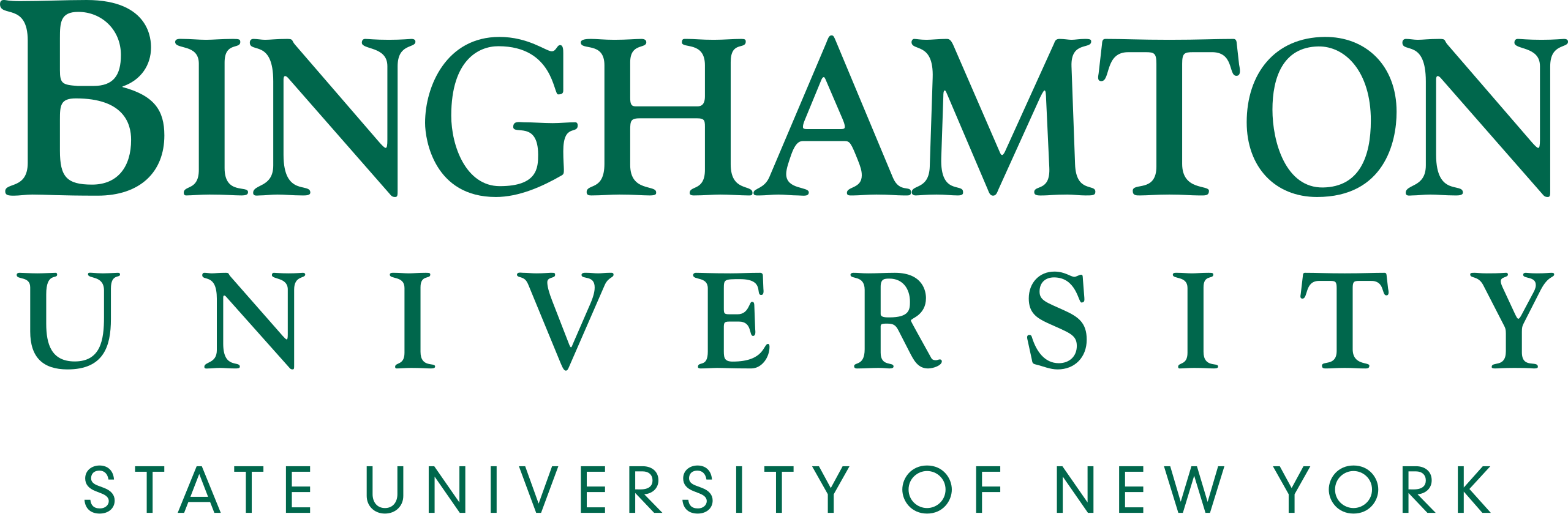 Binghamton University-SUNY