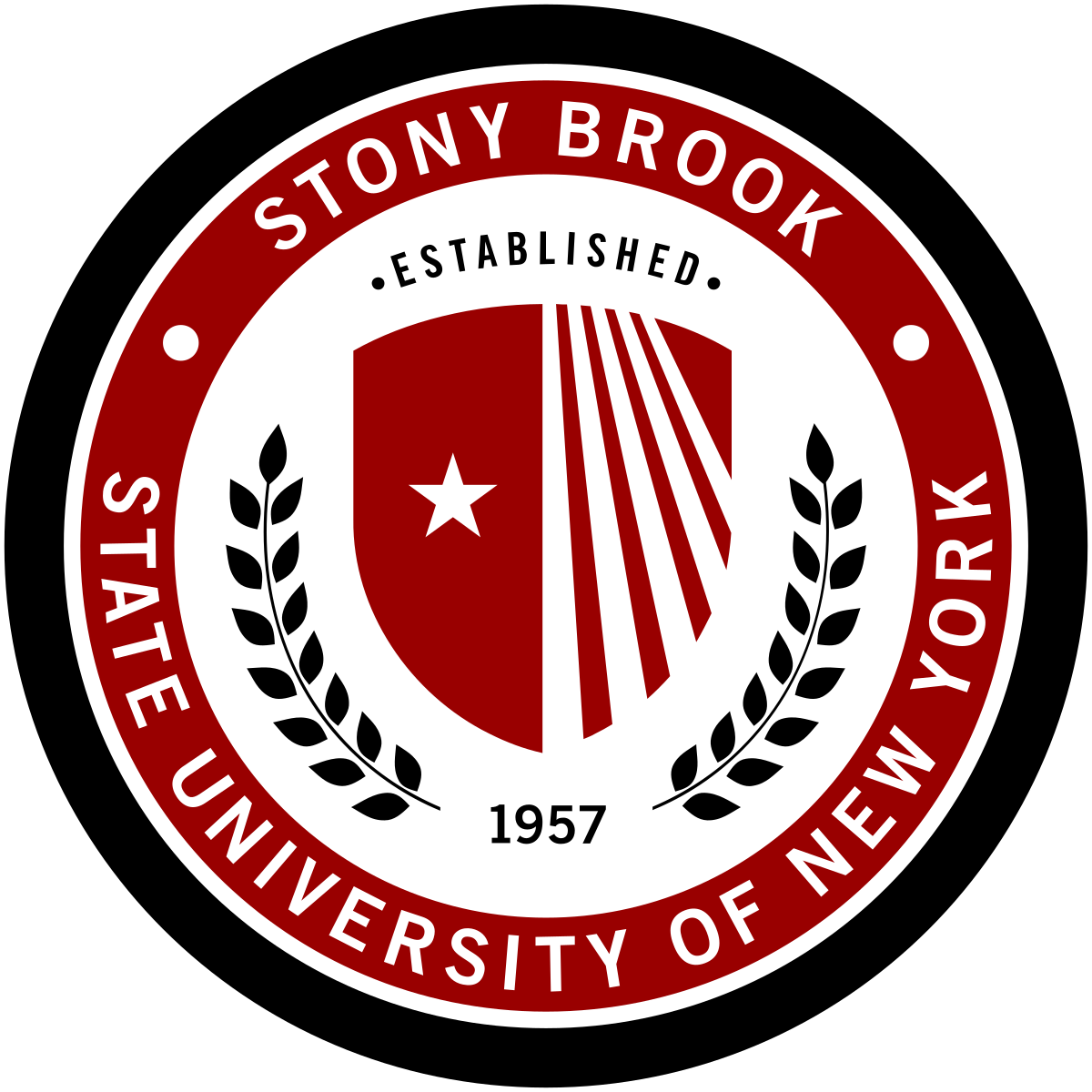 Stony Brook University-SUNY